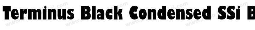Terminus Black Condensed SSi Black字体转换